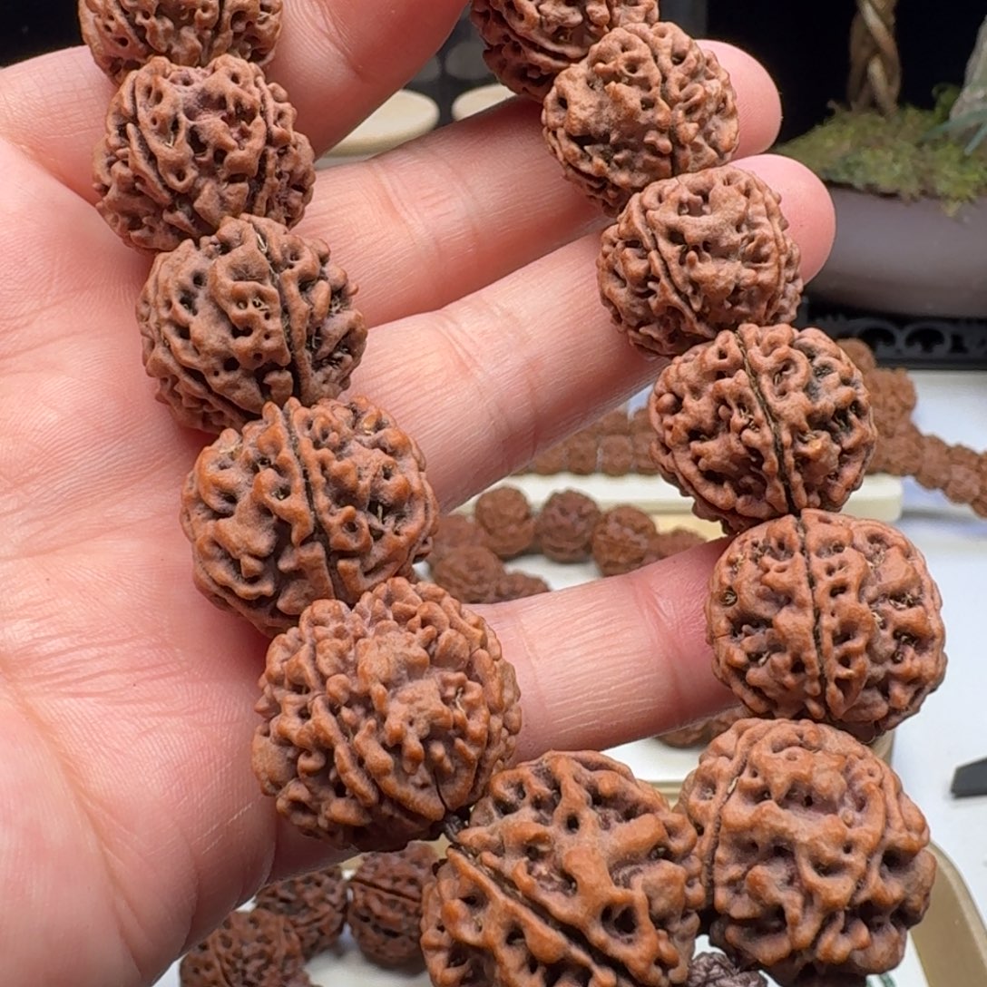 手串金刚菩提蜂窝双龙