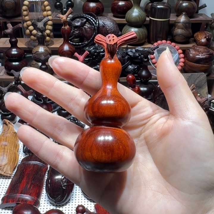 木东非小叶葫芦4.0直径