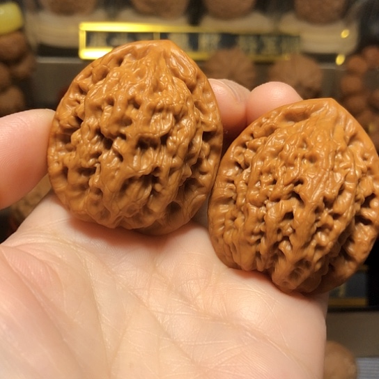 精品野生原桩金公子