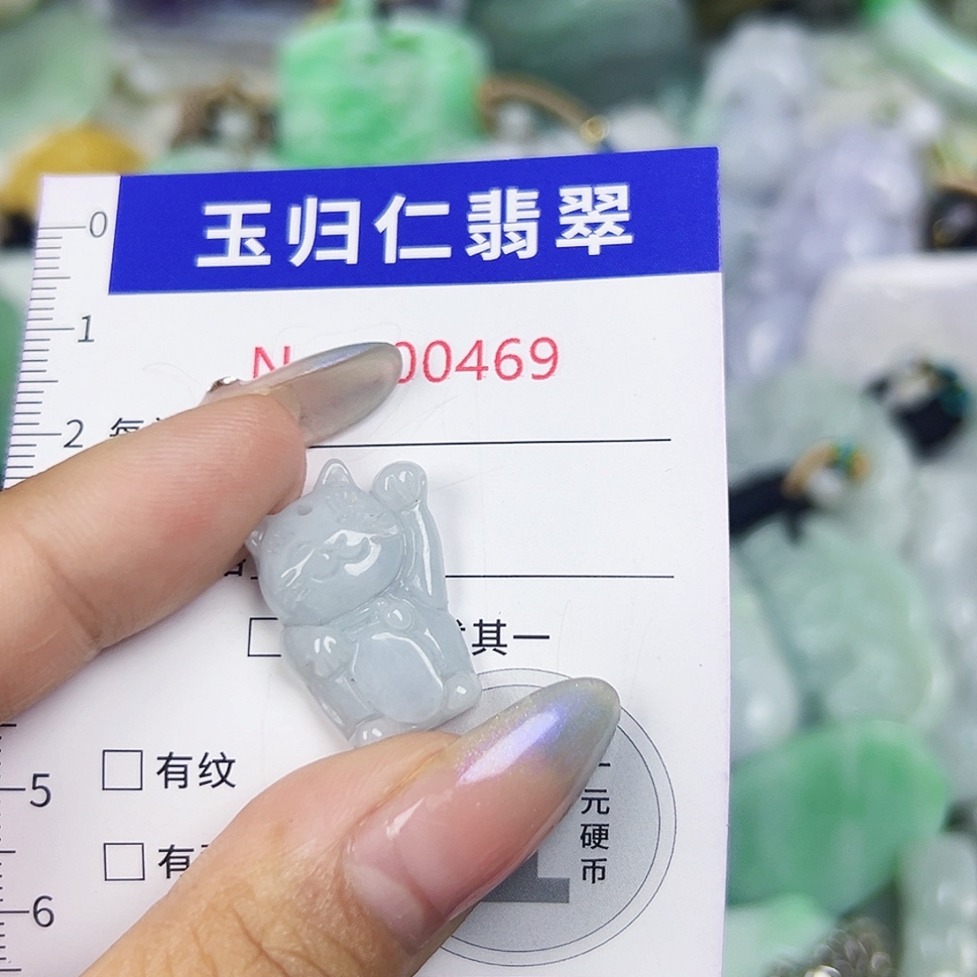 翡翠未镶嵌吊坠(不含链)111