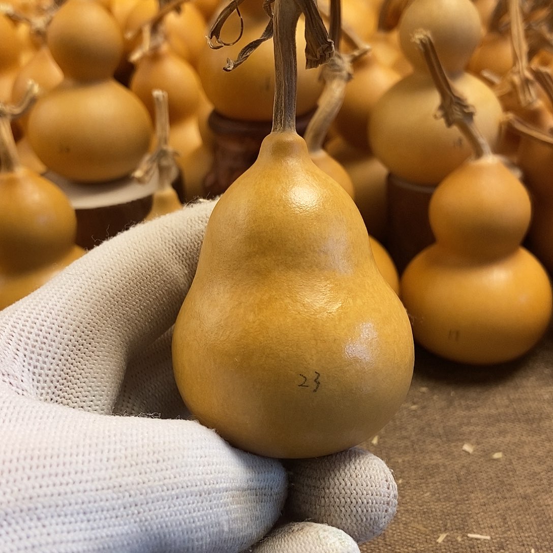 文玩葫芦 完美主义者 慎拍23