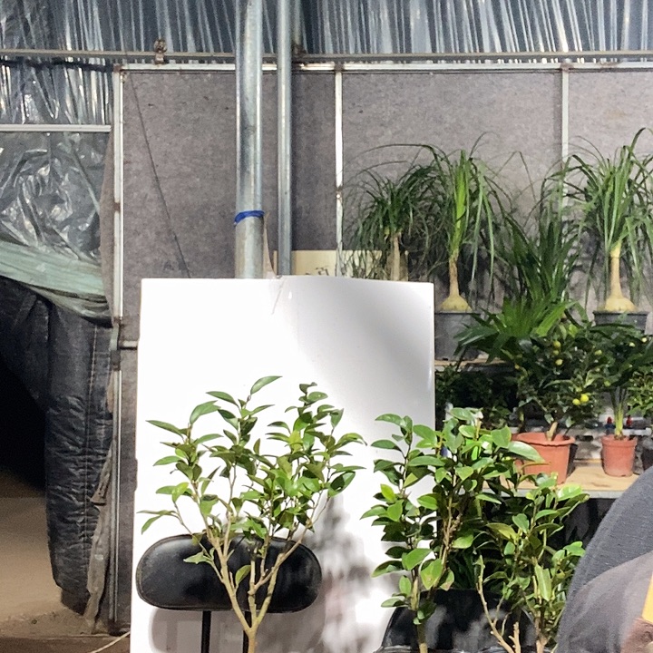 完全开放保温棉5元