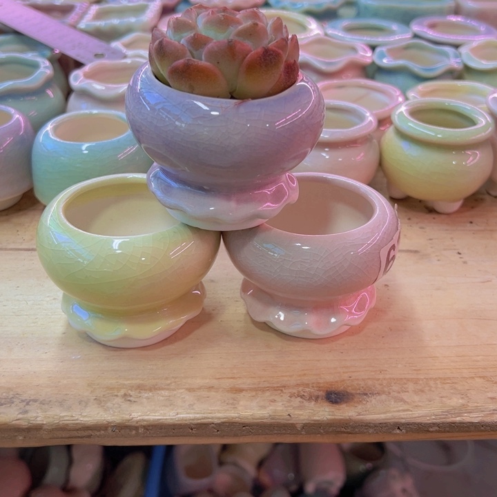 陶瓷花盆当场凑满12包邮