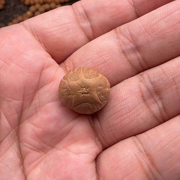 凤眼菩提吊坠尼泊尔16