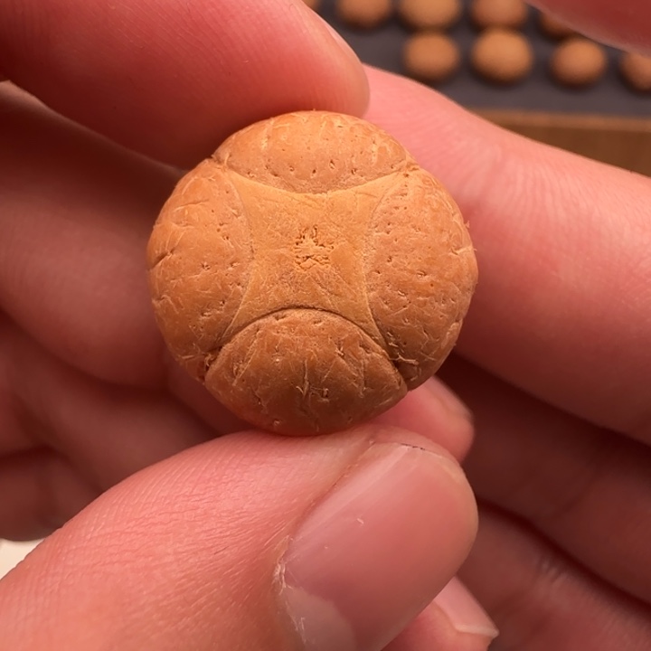 随***！吊坠凤眼菩提20➕精品麒麟