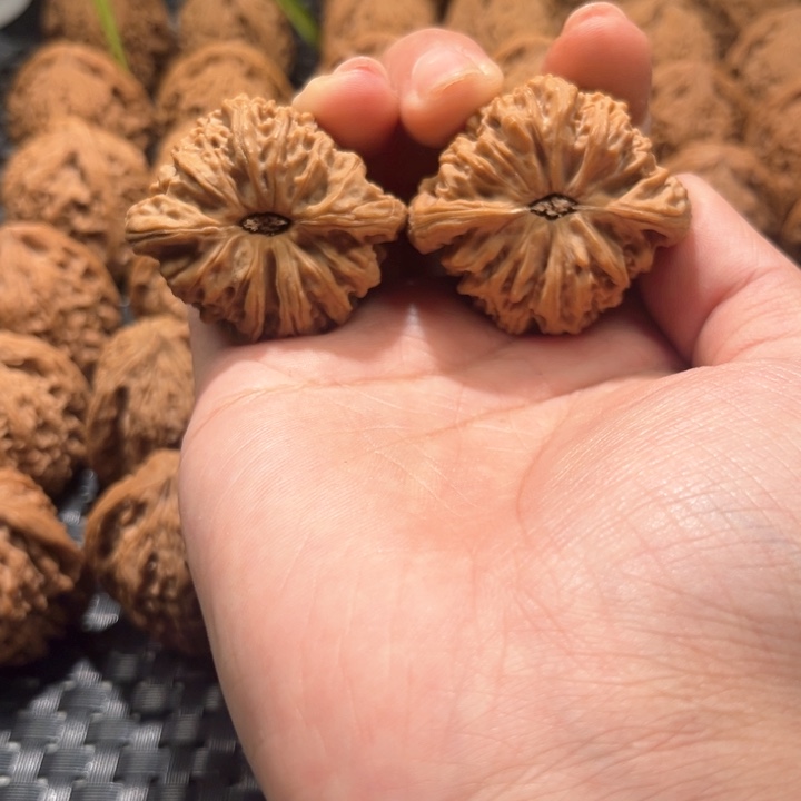 伟*弟南疆石42尺南疆