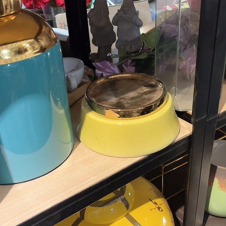 陶瓷花瓶。 绿植。 