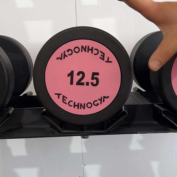 全新纯钢泰诺哑铃12.5公斤一对
