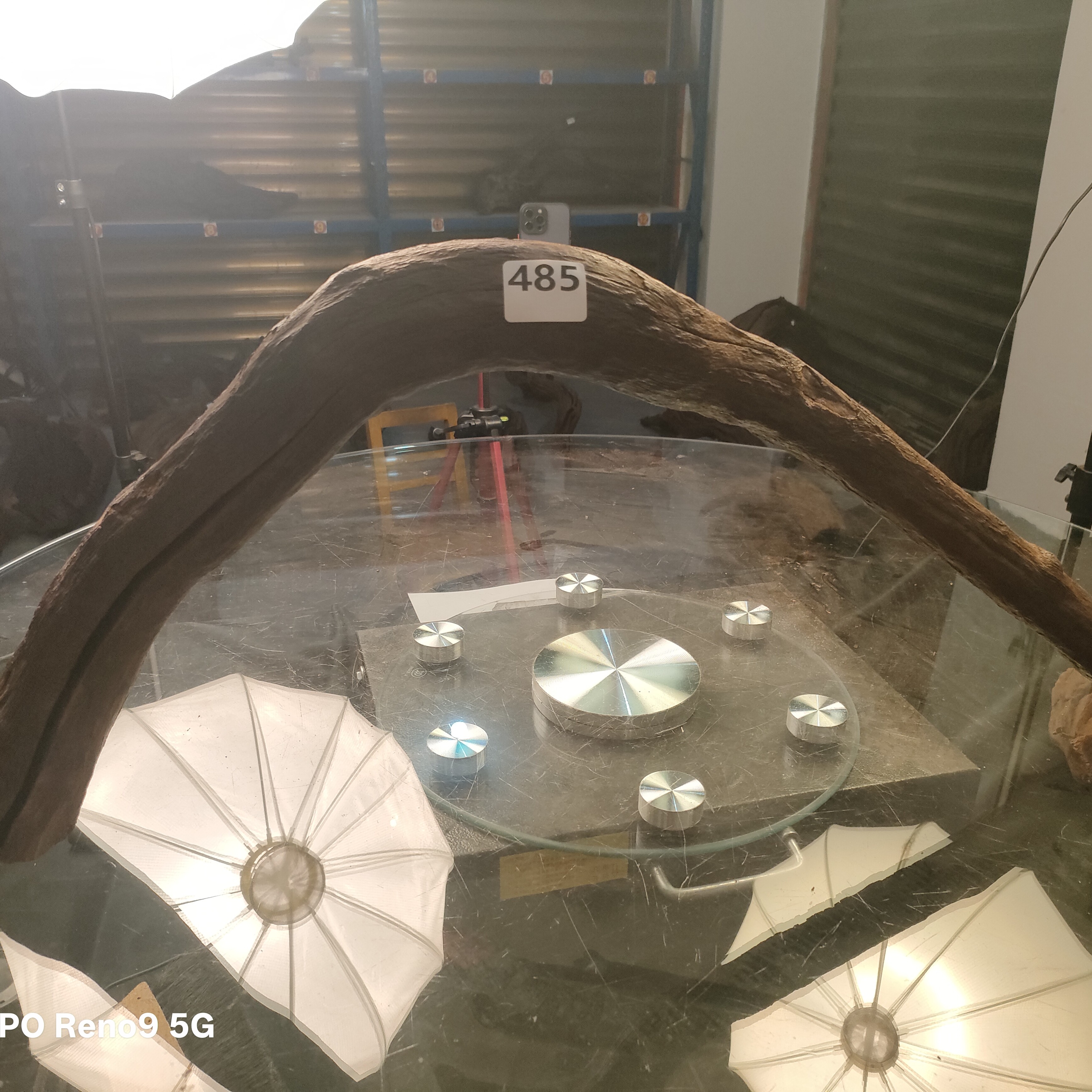 沉木云南紫柚木秒沉176