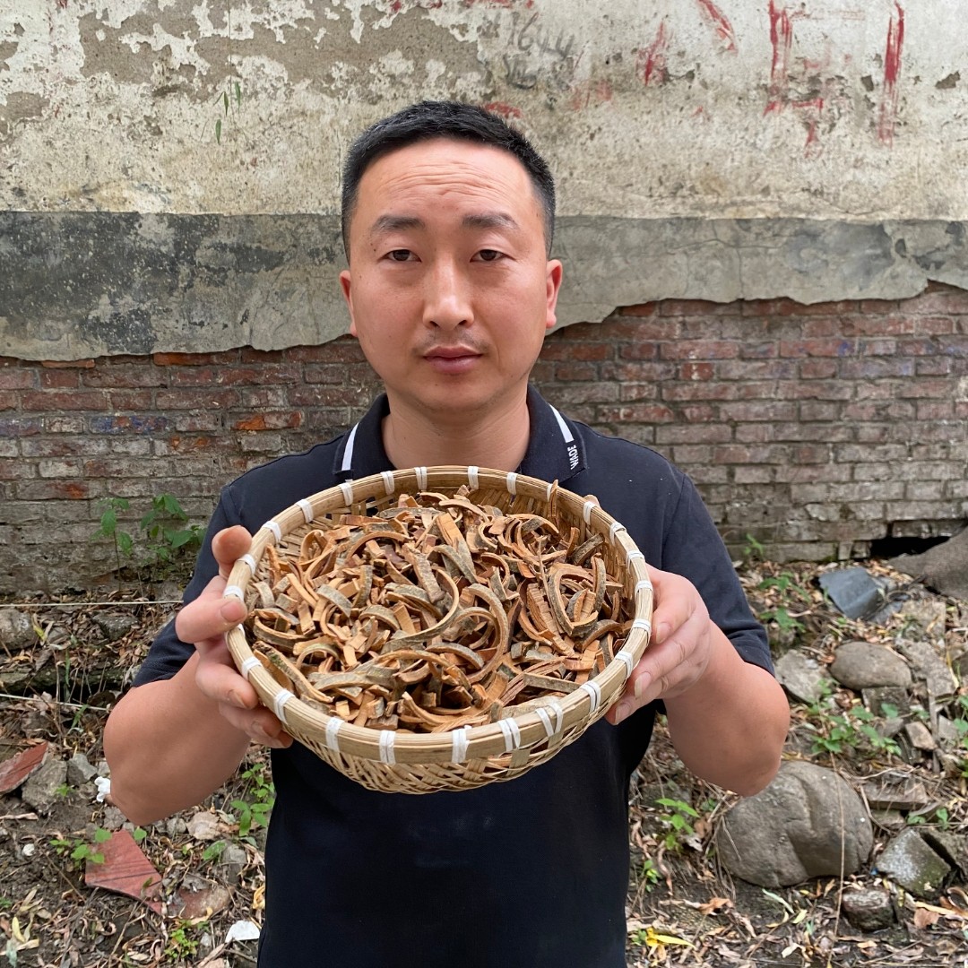 秦皮 陕西秦皮大山秦皮农家货