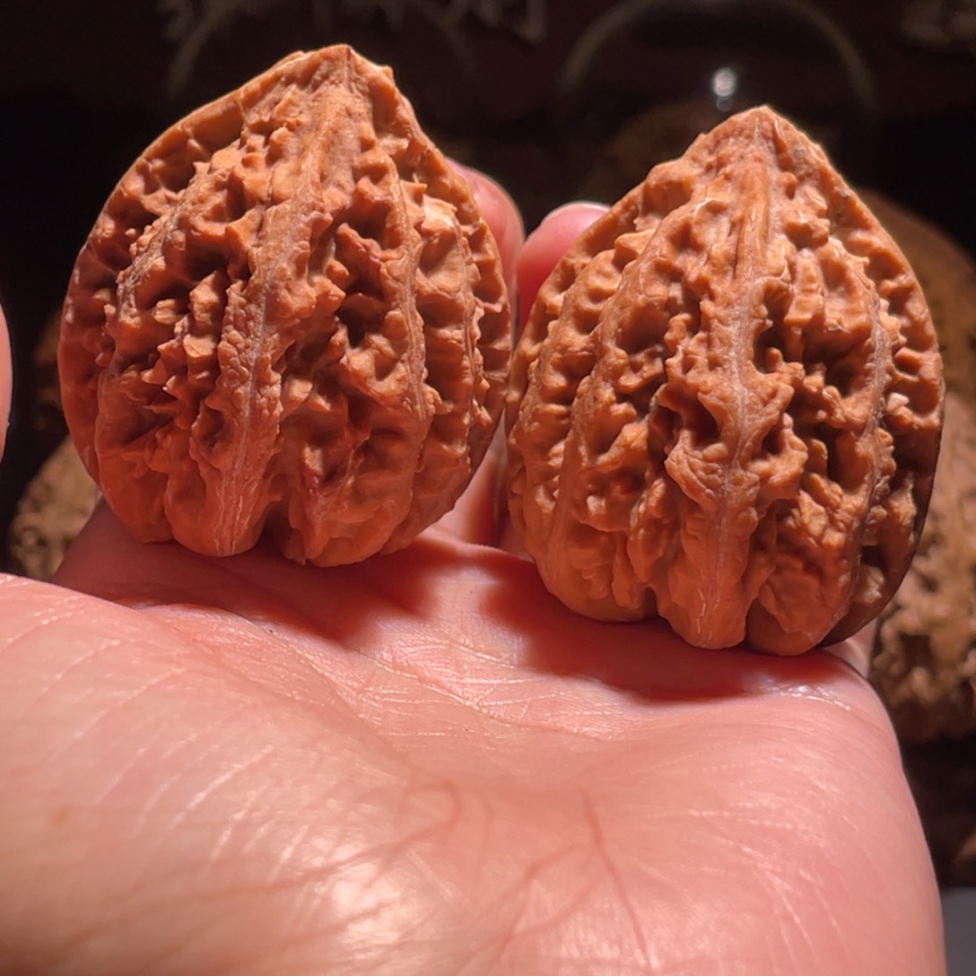 文玩核桃吊坠雾****华菊花方印浮黄55