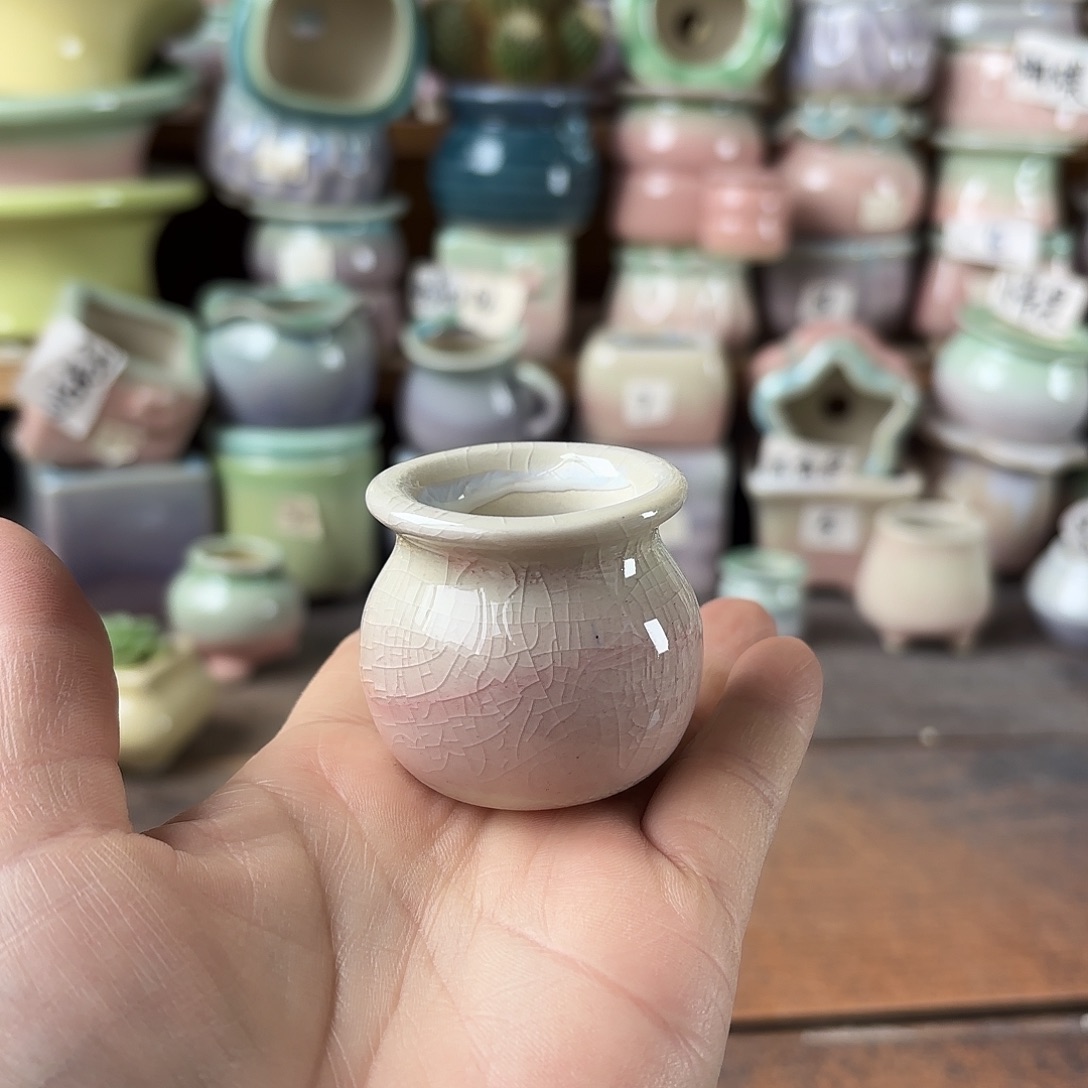 量货/3口高4深浅搭配发12