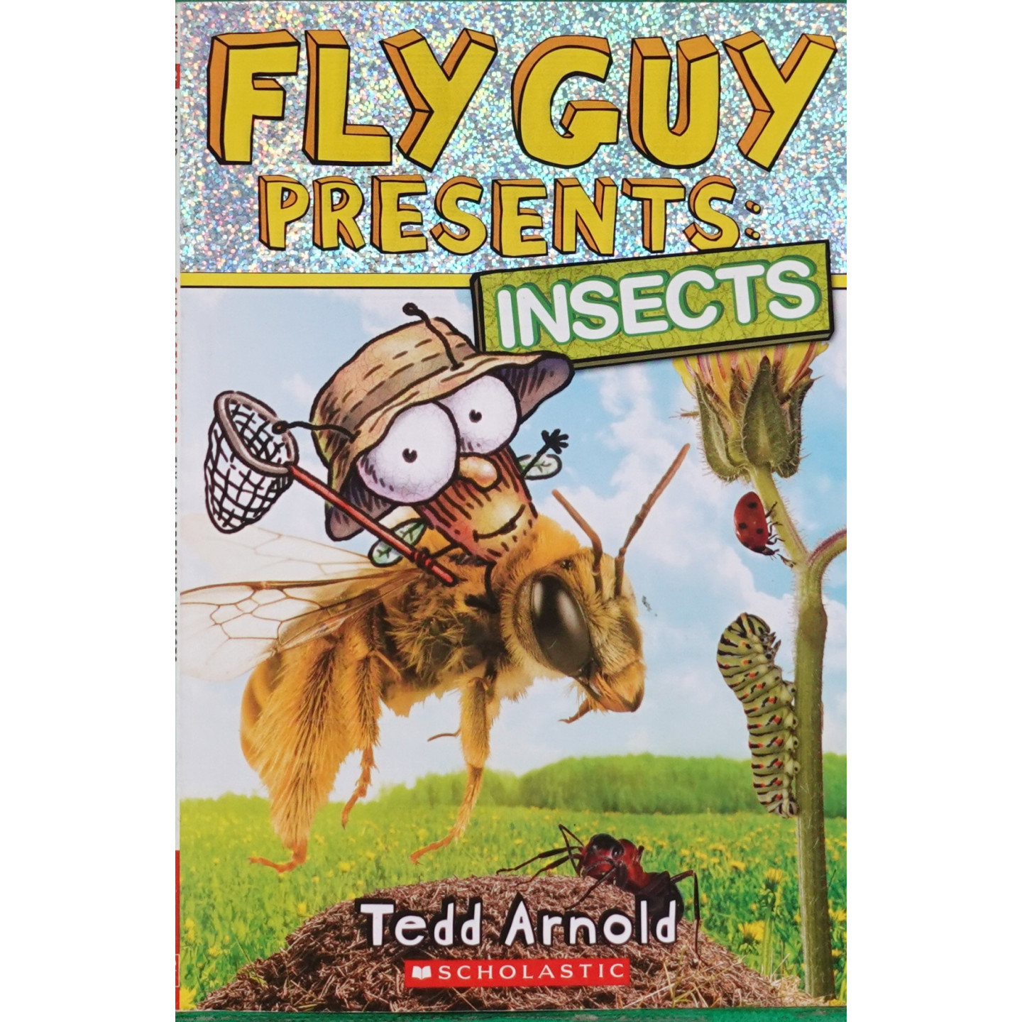 英语原版书苍蝇小子系列昆虫绘本泰德阿诺德FlyGuy科普读物适读7-