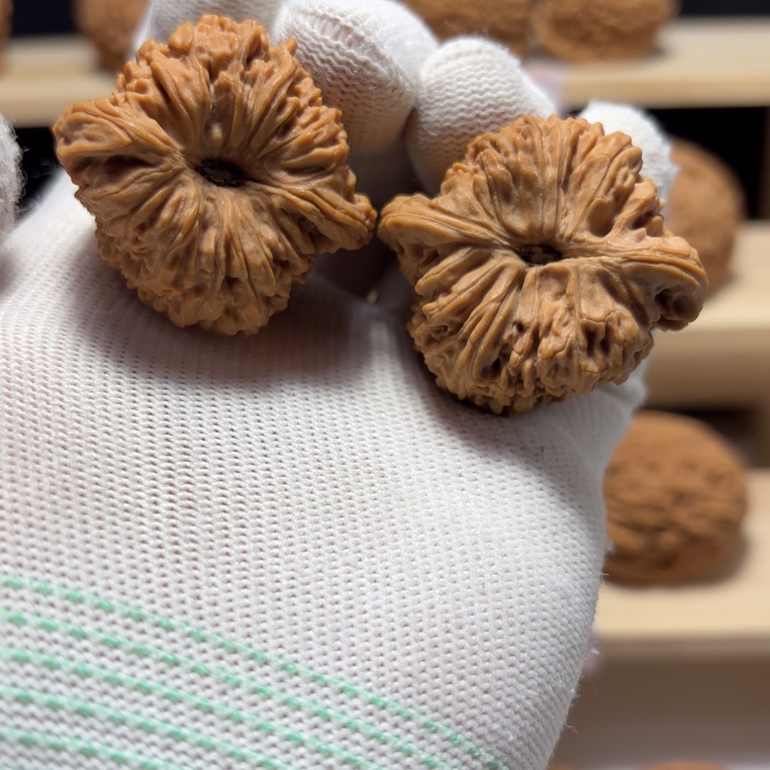 文玩核桃把件乌**发涿鹿南将38