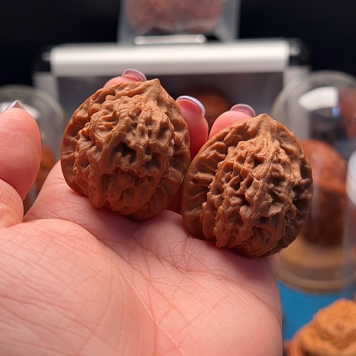 文玩核桃把件秦玉 全品