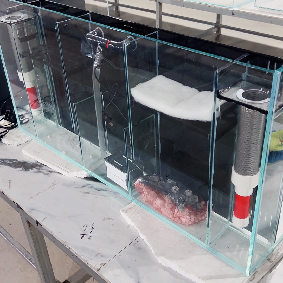 今***昔玻璃1.05050背双鱼马桶，不要盖水泵