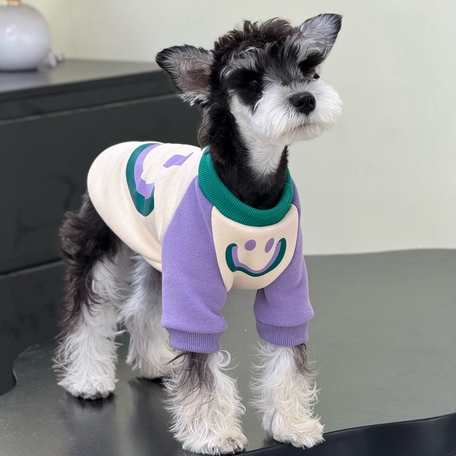 宠物猫咪狗狗秋冬衣服拼色雪纳瑞衣服加绒潮牌卫衣中小大型犬