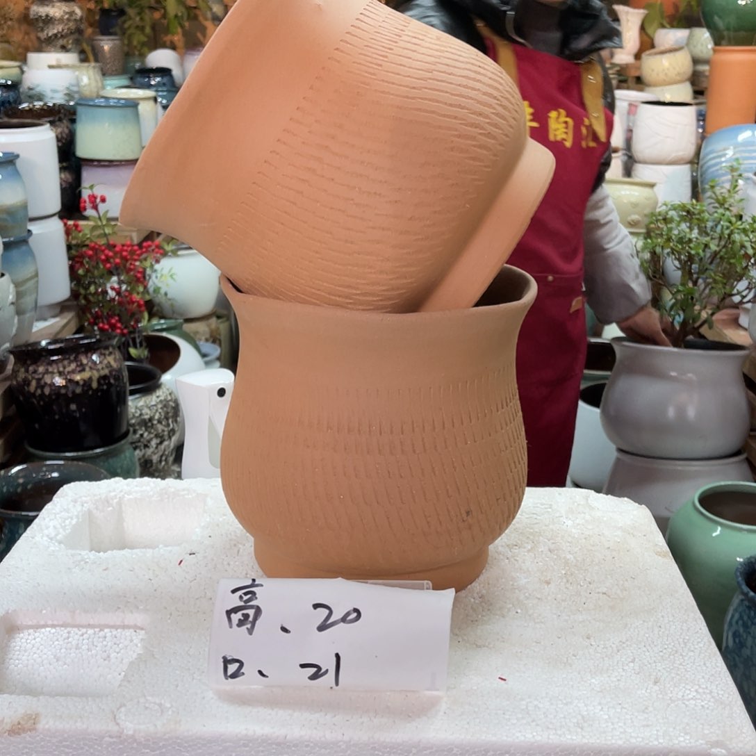红陶高度20口径21