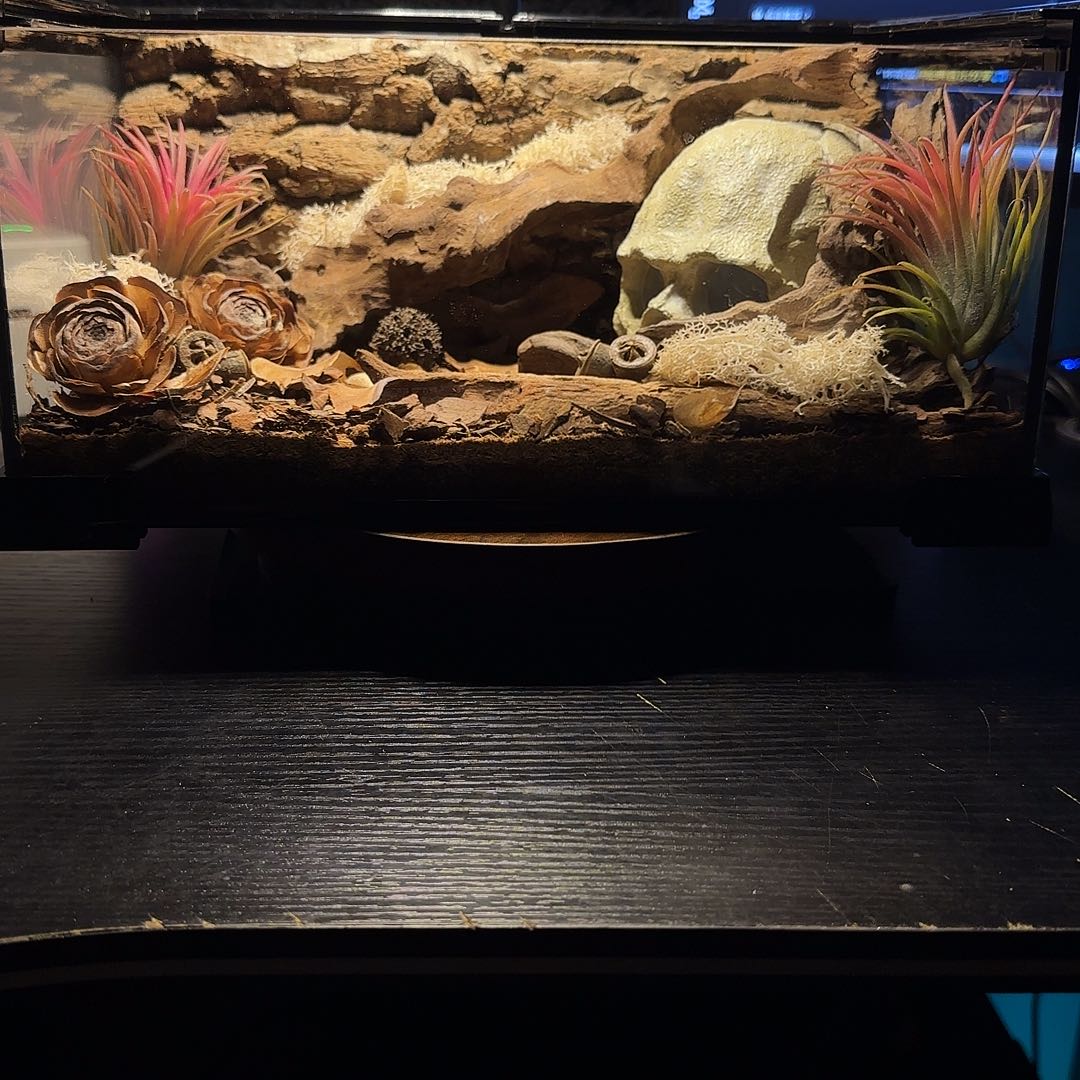 无花朵302015缸1111