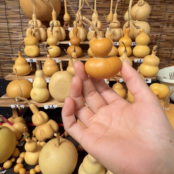 羊羔毛探*者谢谢谢谢谢谢谢谢谢谢