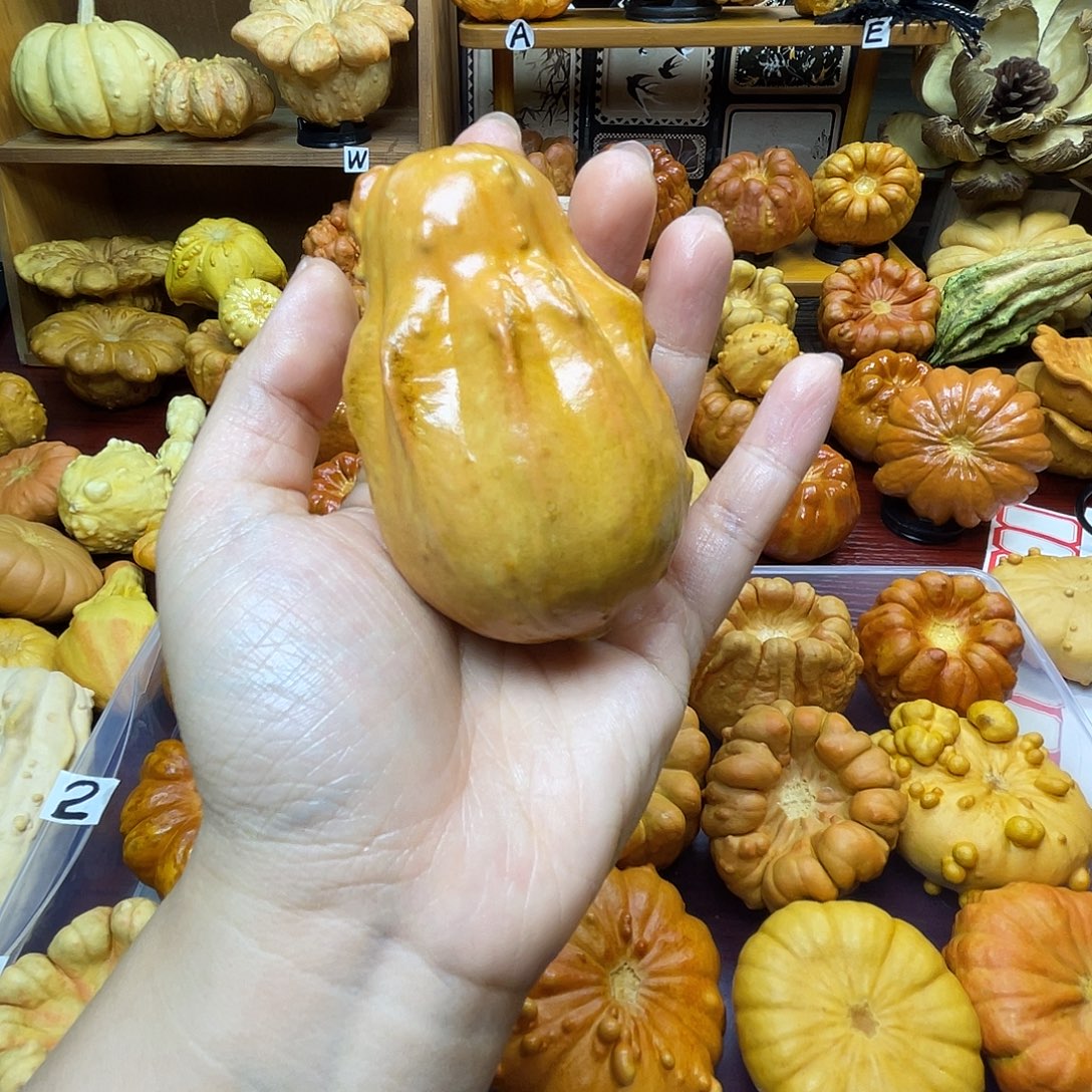 葫芦全品白菜 开播福利