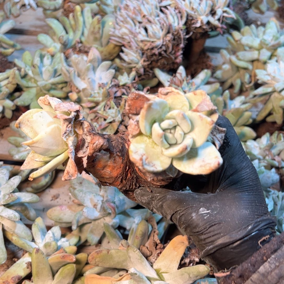 7798哈哈哈哈哈哈哈哈