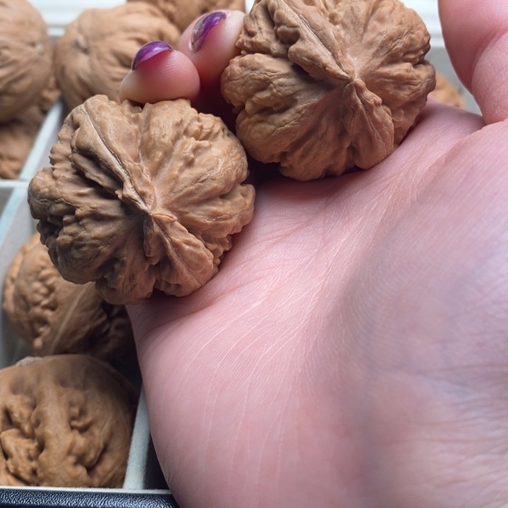 郑***哥文玩核桃吊坠霸王龙