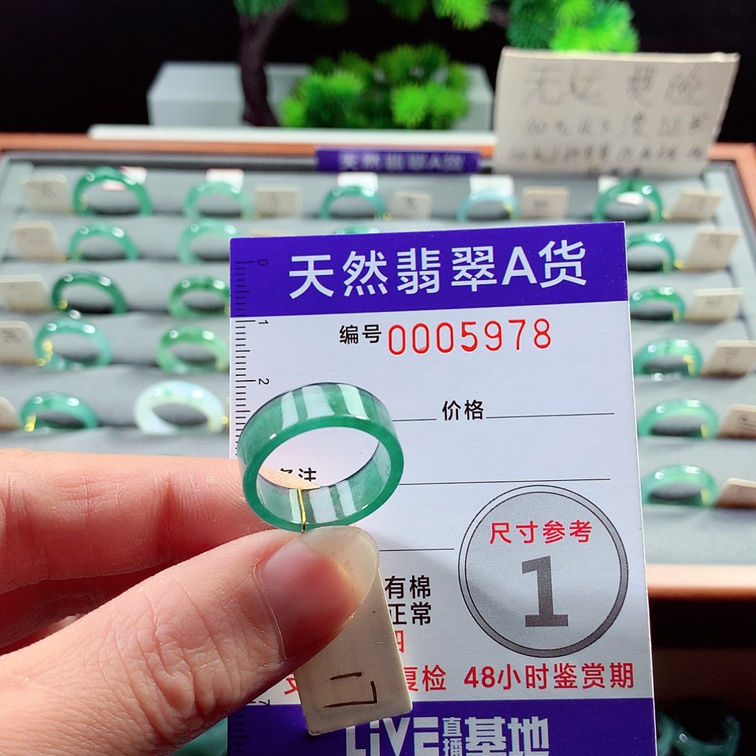 翡翠戒指未镶嵌17号