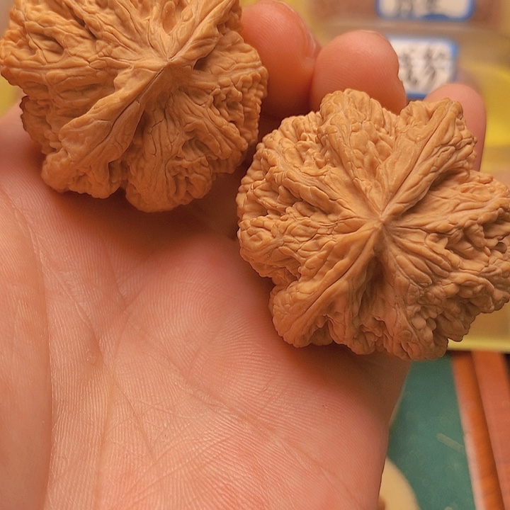 文玩核桃把件46全品大粗筋