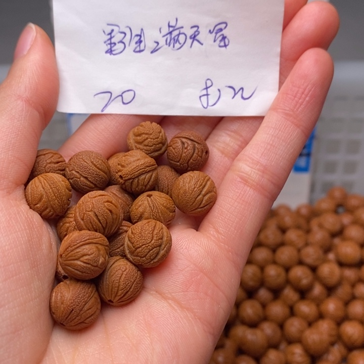 手串桃核11mm左右野生满天星20颗（打孔）
