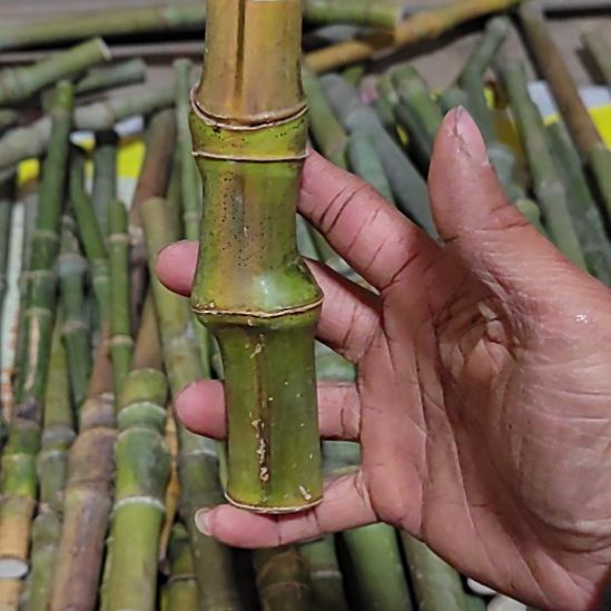 丑***橘心绪不宁了的方法刚刚发给