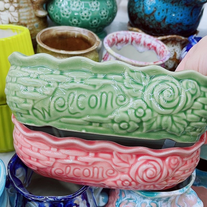 多肉植物陶瓷花盆