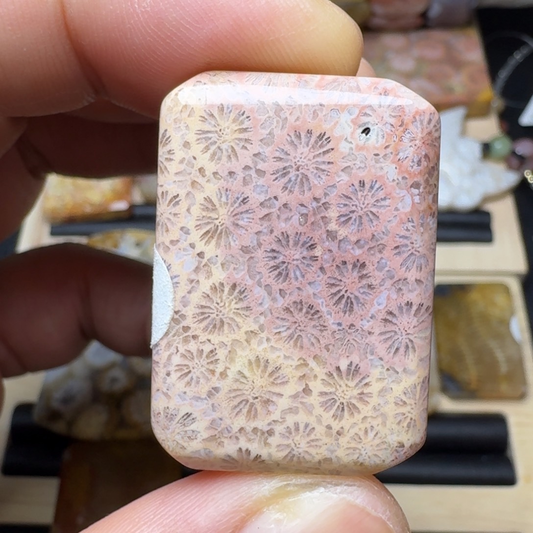 未镶嵌纯天然色有机玉石保真色硅化玉