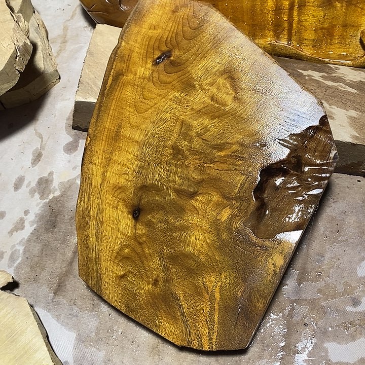 金丝楠木小叶桢楠木