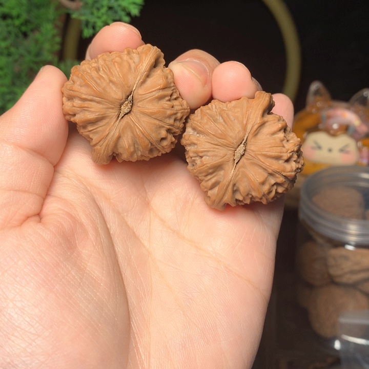 文玩核桃把件新**橙白狮子