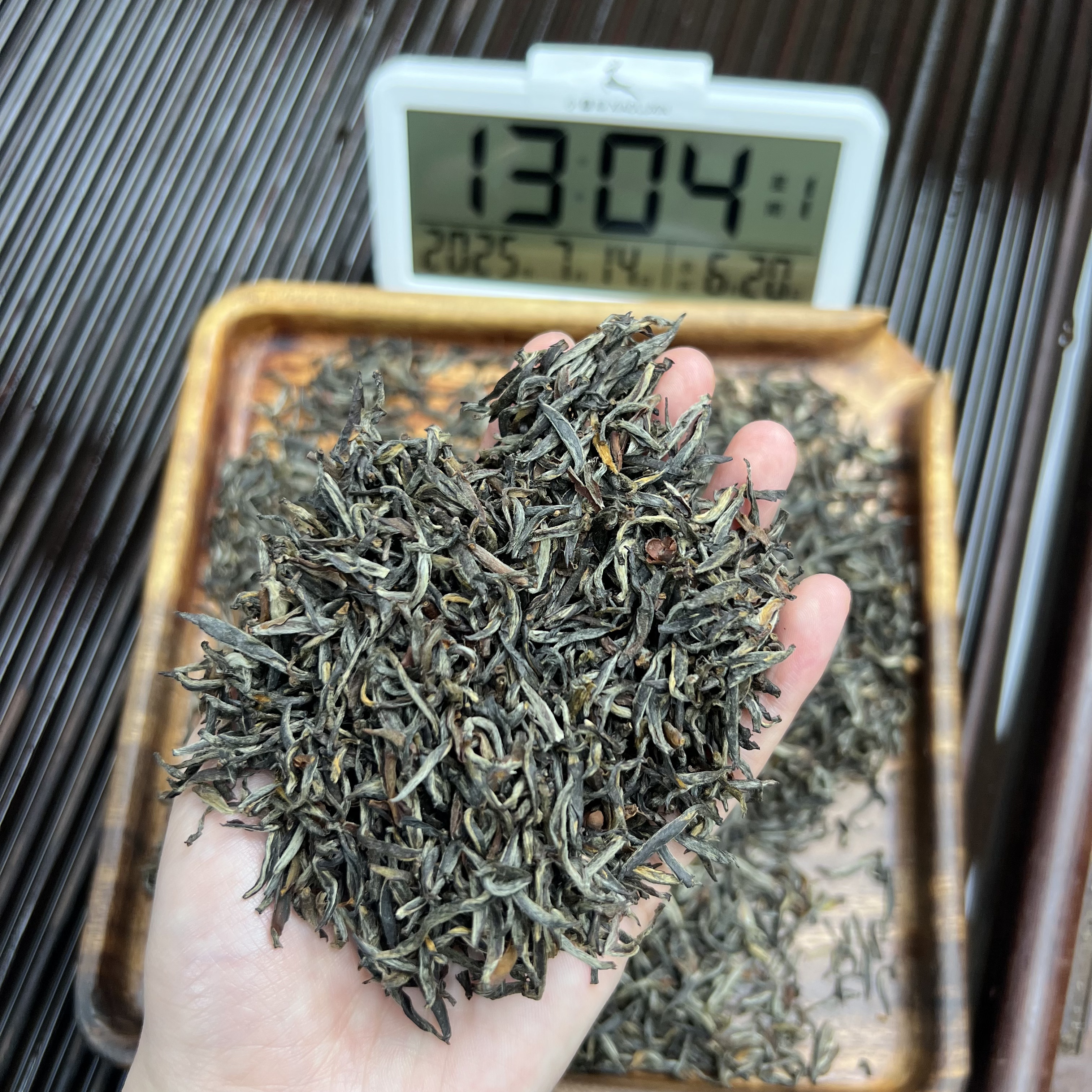 武夷山瓜子金 小鹿收茶 武夷红茶金骏眉 7月14