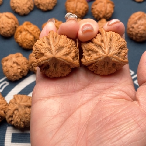 橄榄核手串/手链文山三棱35