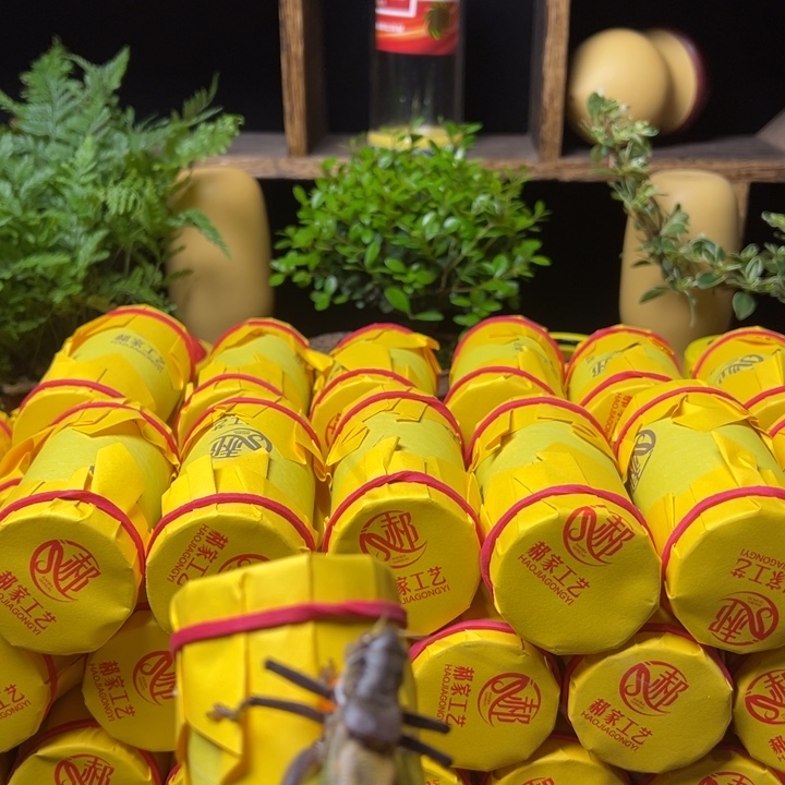 四***爷郝建伟大包蝈蝈111