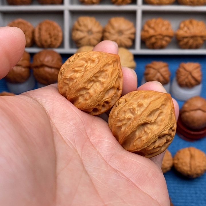 文玩核桃把件卧龙粗筋