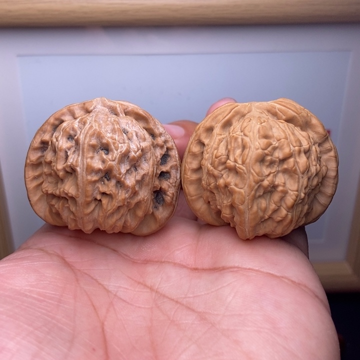 核桃全品白狮子头