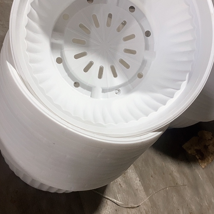 23公分白色聚宝盆12个