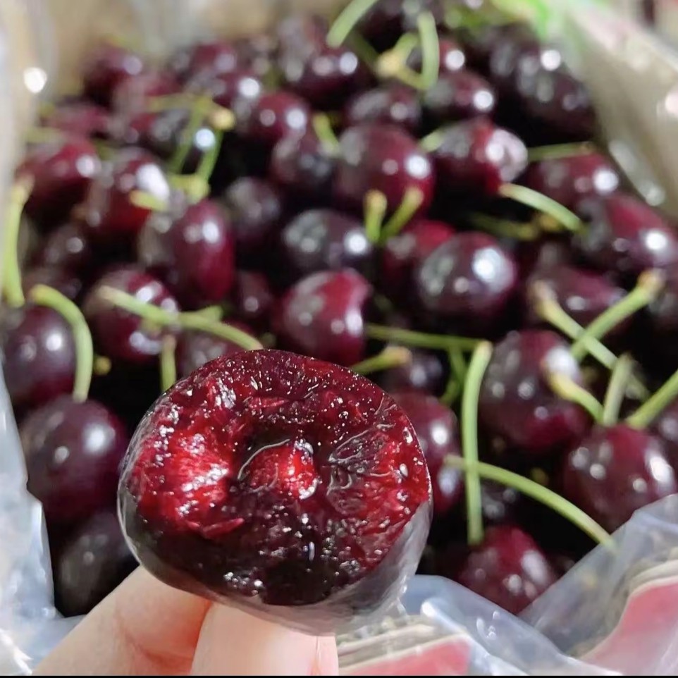 海运车厘子阿雷科3JD2-5斤智利