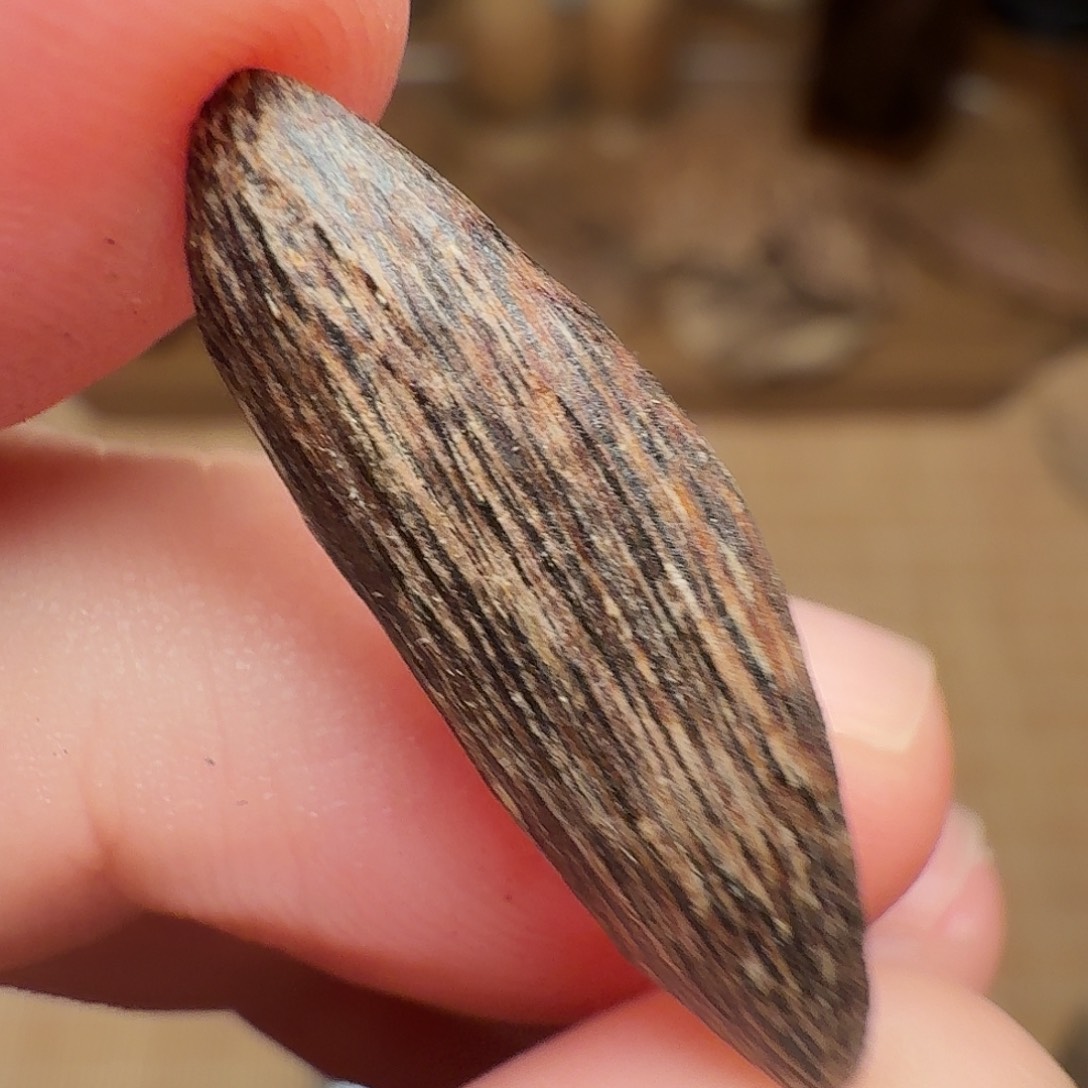 沉香香港西贡棋韵瓜子