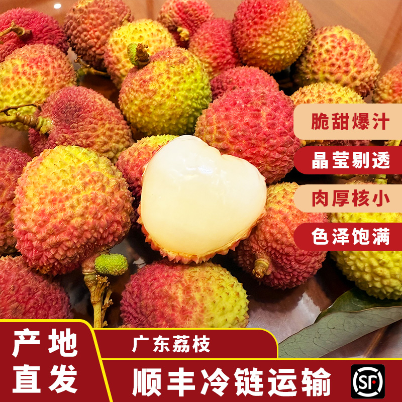 【顺丰】广东A级妃子笑荔枝新鲜水果带箱3-5斤湛江果园直邮现摘现发