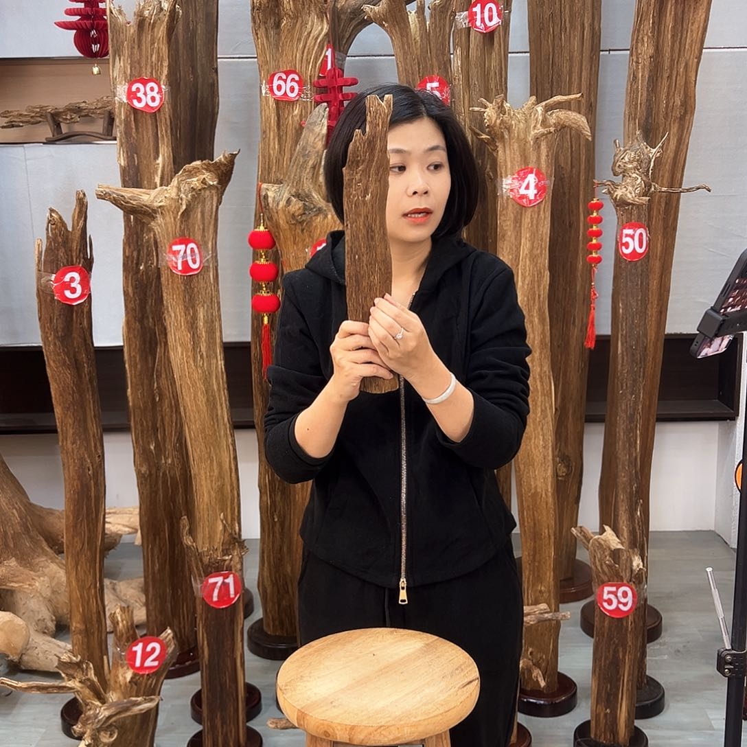 沉香摆件沉香摆件