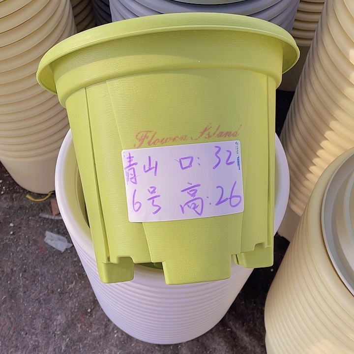 树脂青山6号果绿色4个