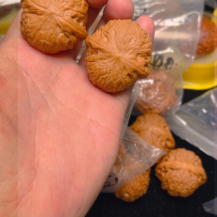 核桃39铁锤，已打底