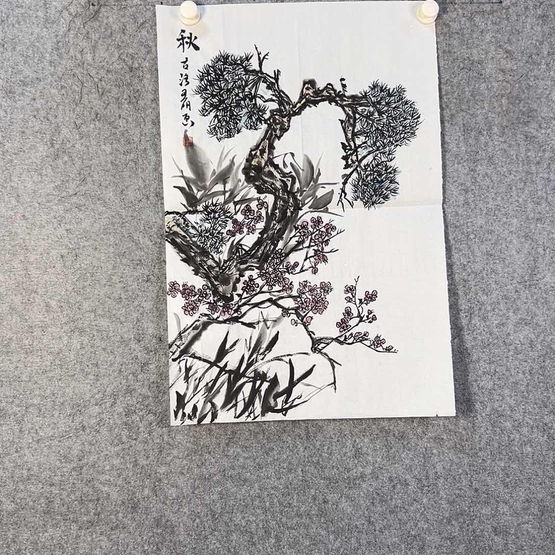 国画342 牡丹等植物资源的