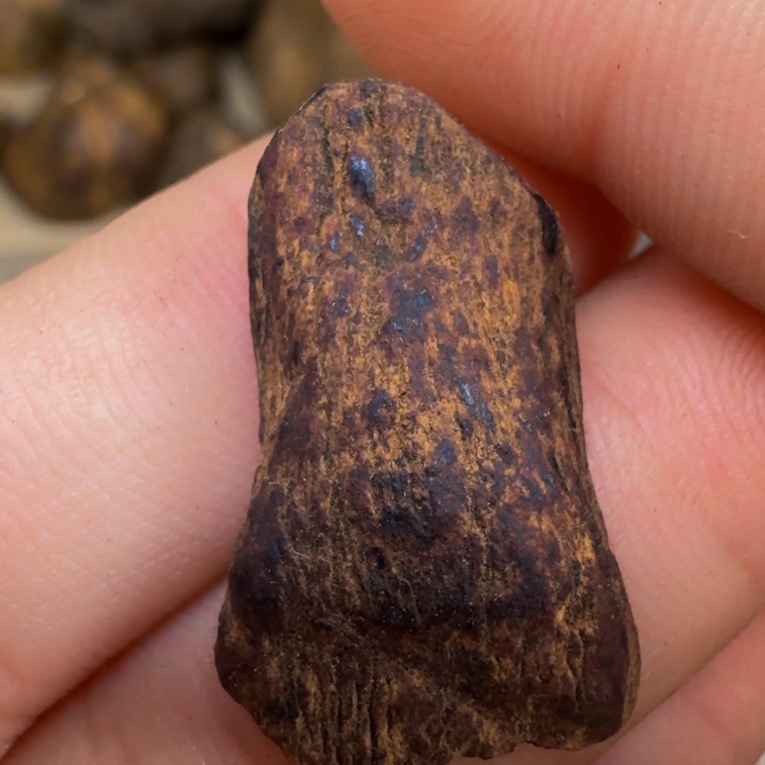 沉香吊坠越南惠安红土吊坠