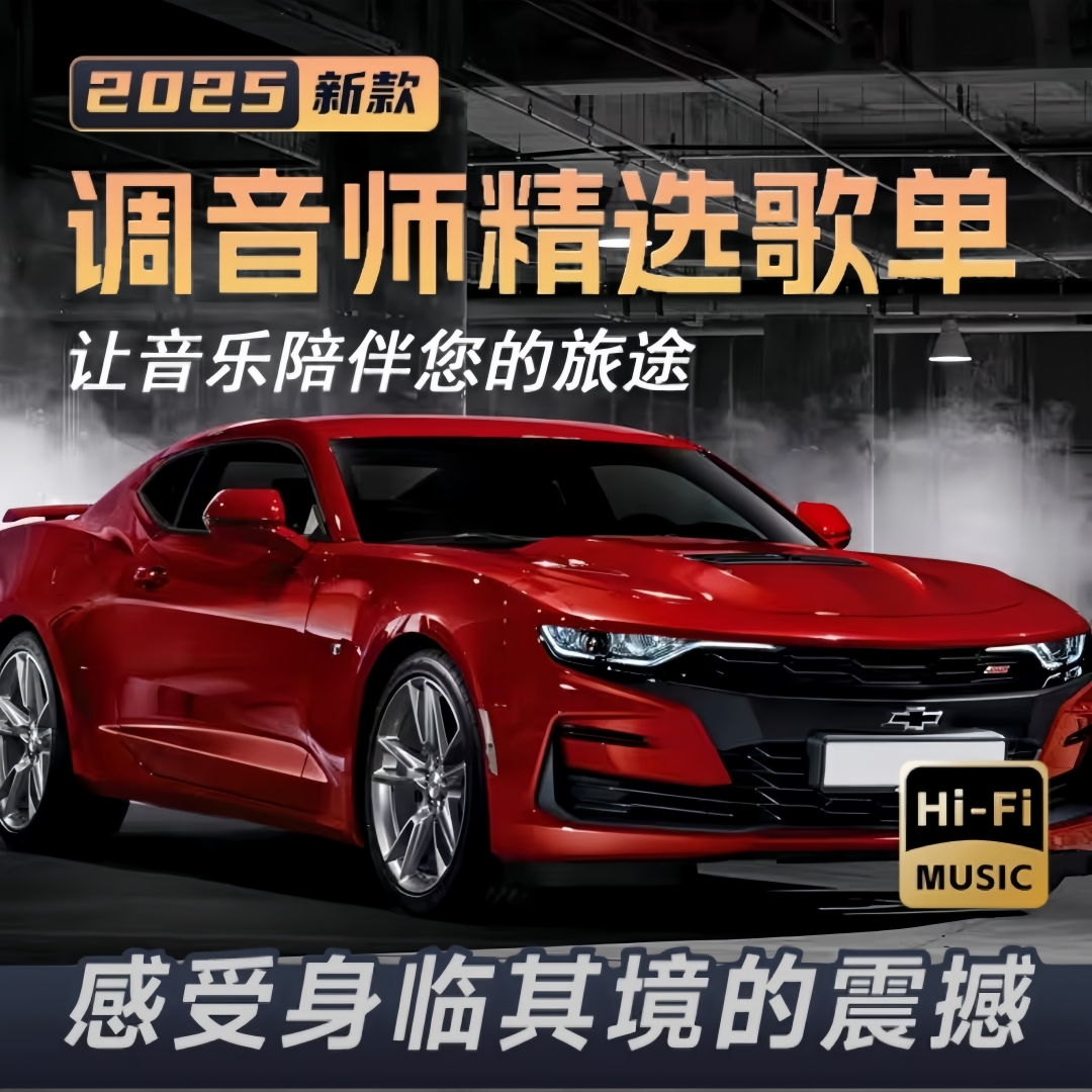 【2025升级款】音乐车载U盘 抖音流行精选热门歌曲 无损HIFI音质